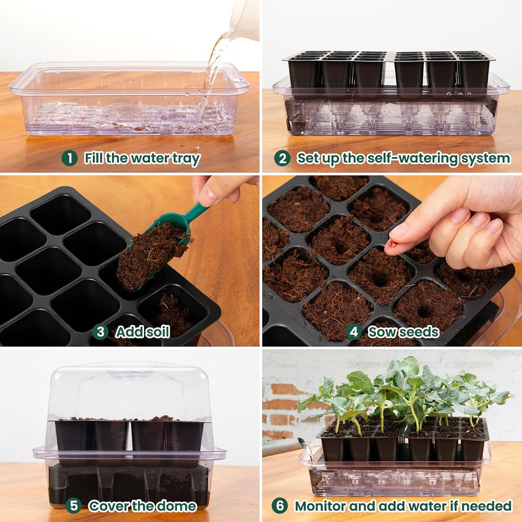 SOLIGT Self Watering Seed Starter Trays with Humidity Domes 6 Pack 144 Cell | Extra Thick Plastic Seed Starter kit for
