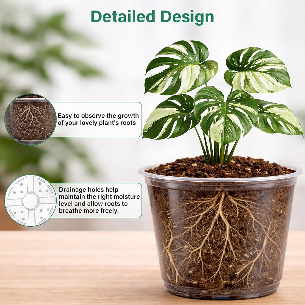 Bluepro Clear Nursery Pots with Drainage, 3.5/4/5/6/8 Inch, 20-Pack | Clear PET, 4 Each of Five Sizes, Root and