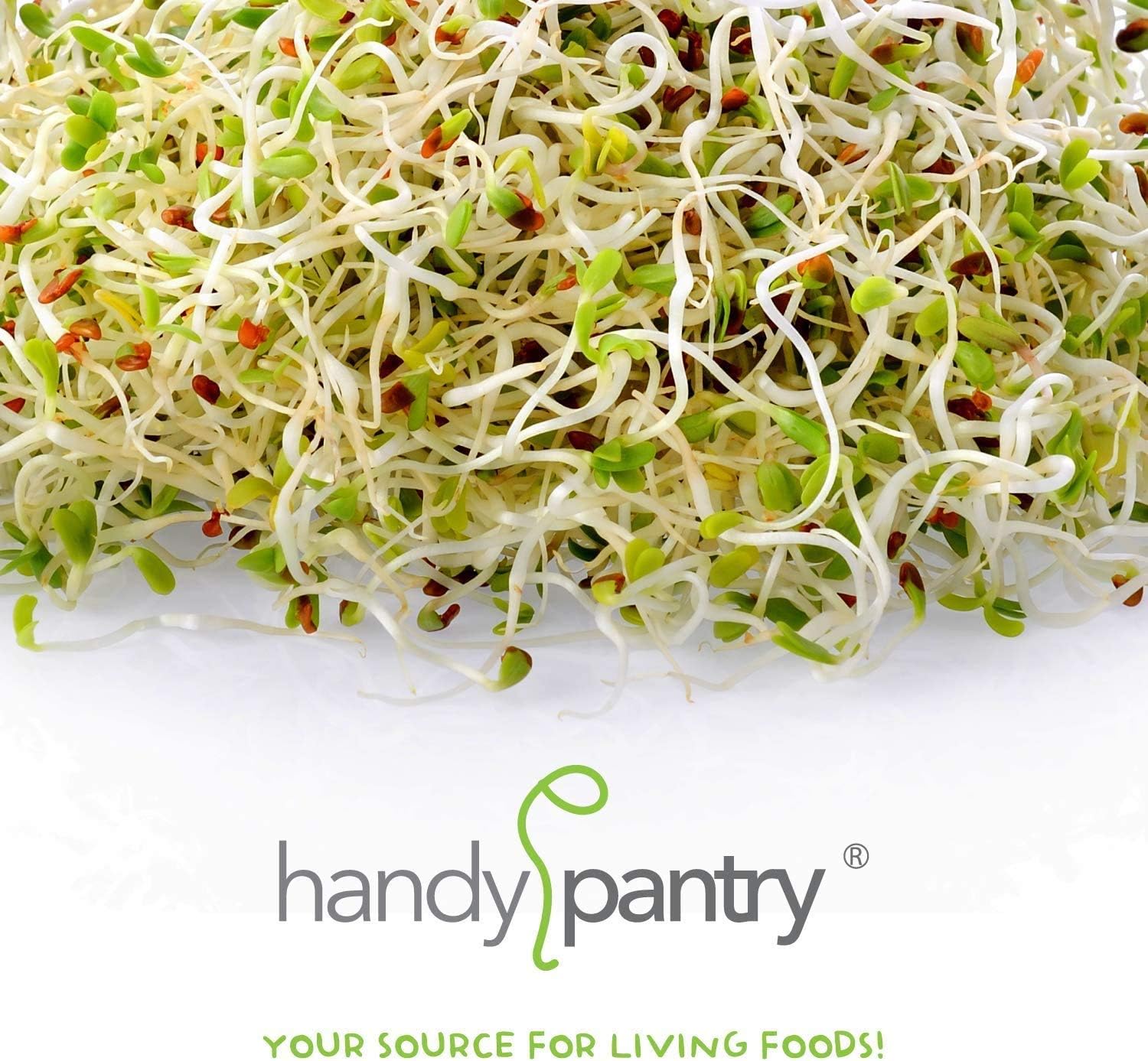 Handy Pantry Organic Sprouting Seed Mix – 2.5 lb – 10 Varieties: Alfalfa | Mung Bean, Broccoli, Lentil, Clover