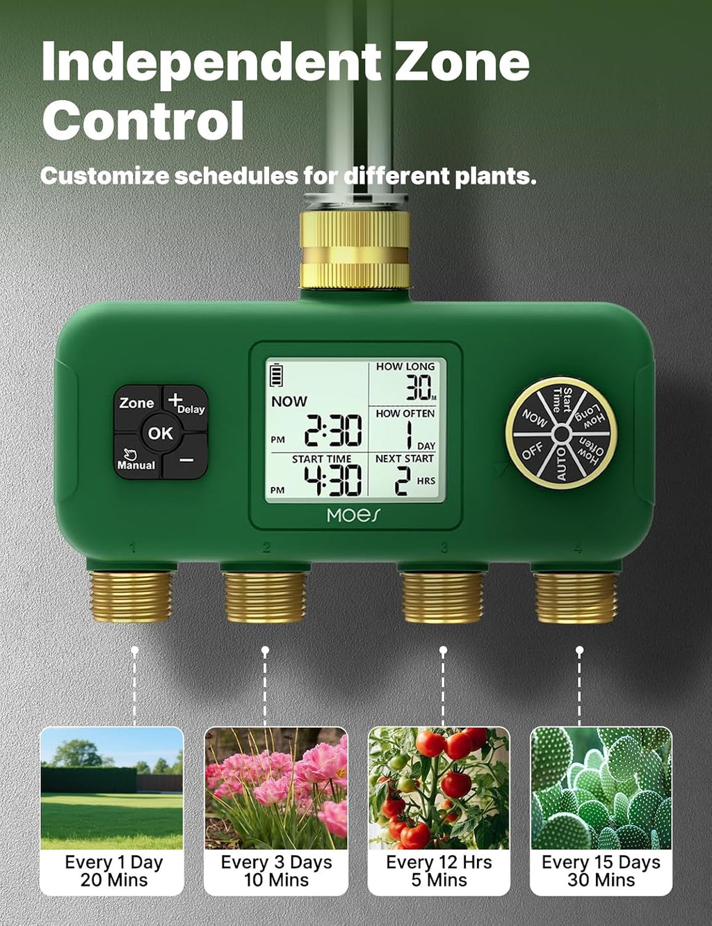 MOES 4 Zone Water Timer, Brass Fittings, Sequential Watering, No Wi-Fi | 4 Independently Programmable Outlets With 3/4