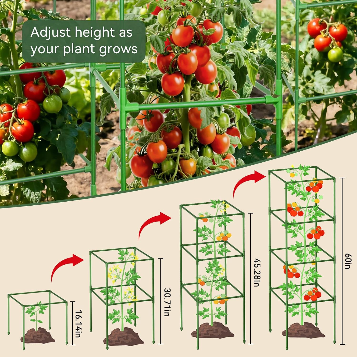 4 Pack 60" Tomato Cages for Garden, Heavy Duty Adjustable Plant Support | For Climbing Plants and Vegetables