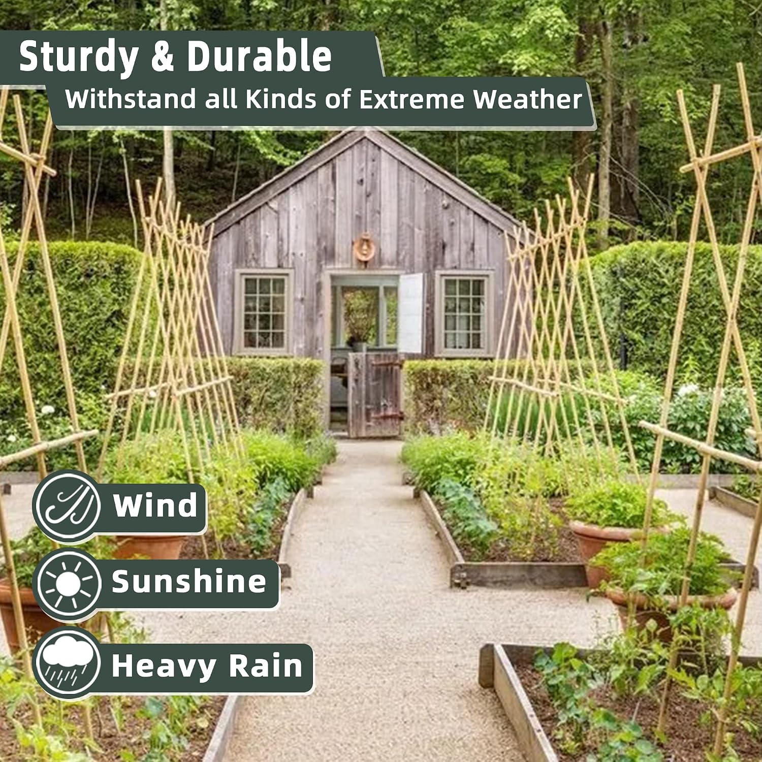50Pcs / 2ft Bamboo Plant Stakes for Indoor Outdoor Plants, Garden Plant Support Sticks, Poles for Tomato Vegetables