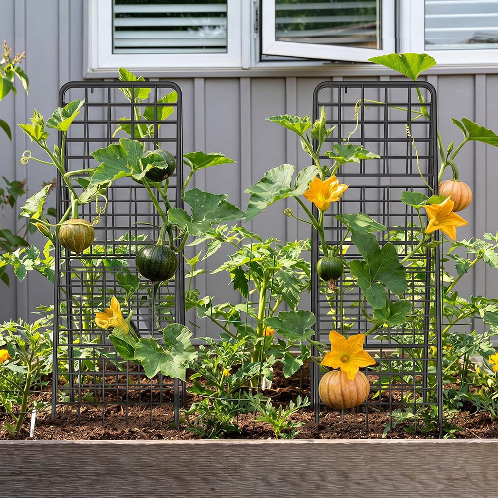 A-Frame Trellis for Climbing Plants Outdoor, 2 Pack Metal Garden Trellis | Heavy Duty Cucumber Climbing Trellis with