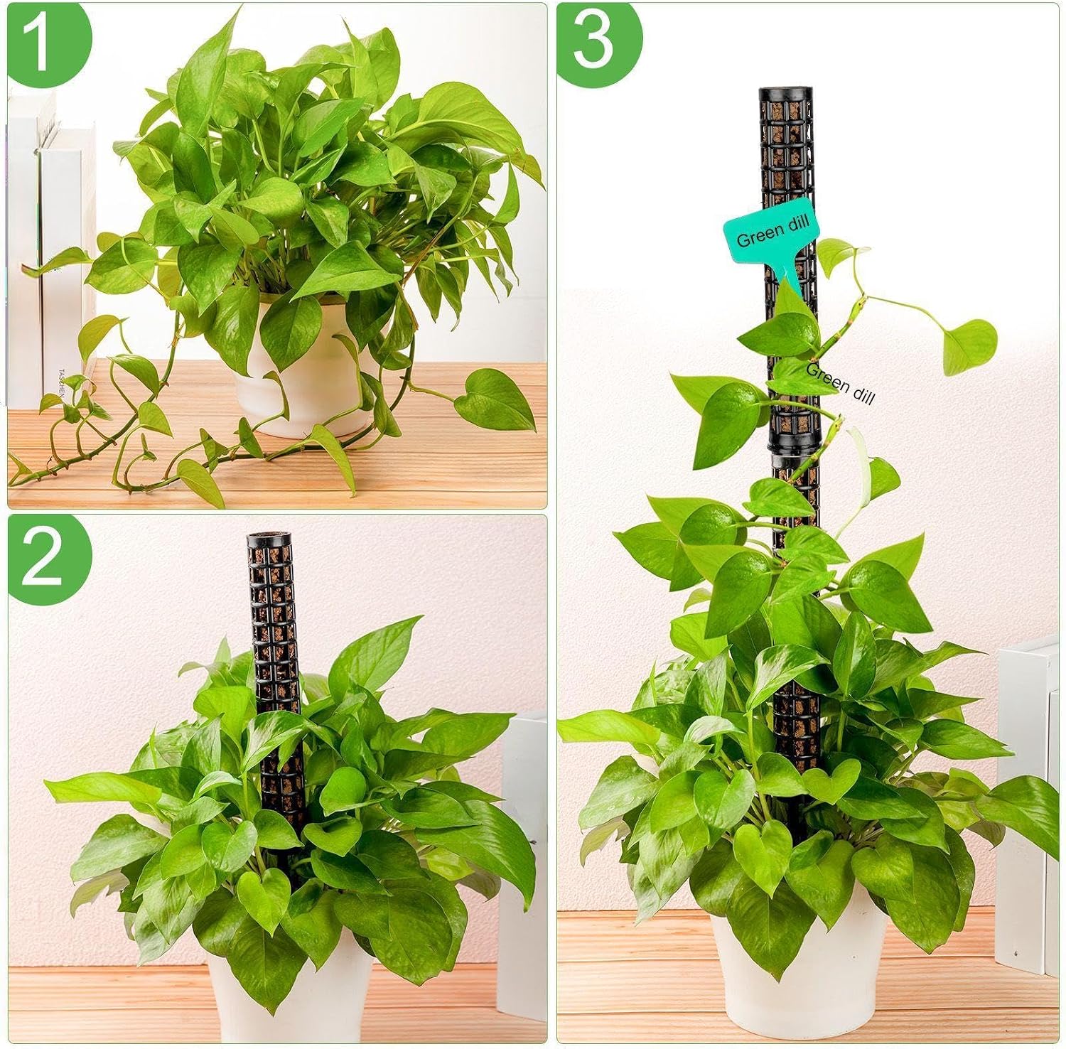 10 Set Plastic Moss Poles for Climbing Plants Indoor Stackable Self Watering Hollow Monstera Plant Support, Moss Not
