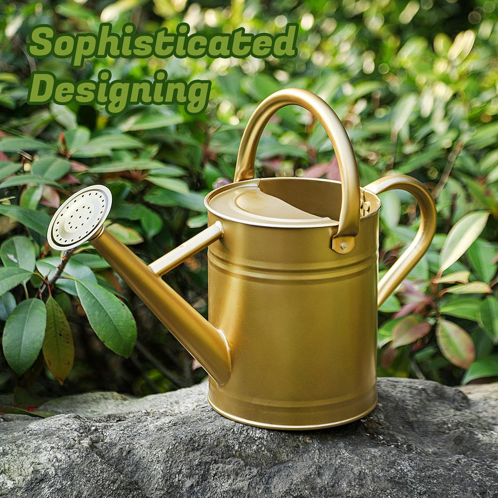 1 Gallon Watering Can for Plants, Watering Cans for Indoor&Outdoor Gardening, Galvanized Steel Watering Pot with