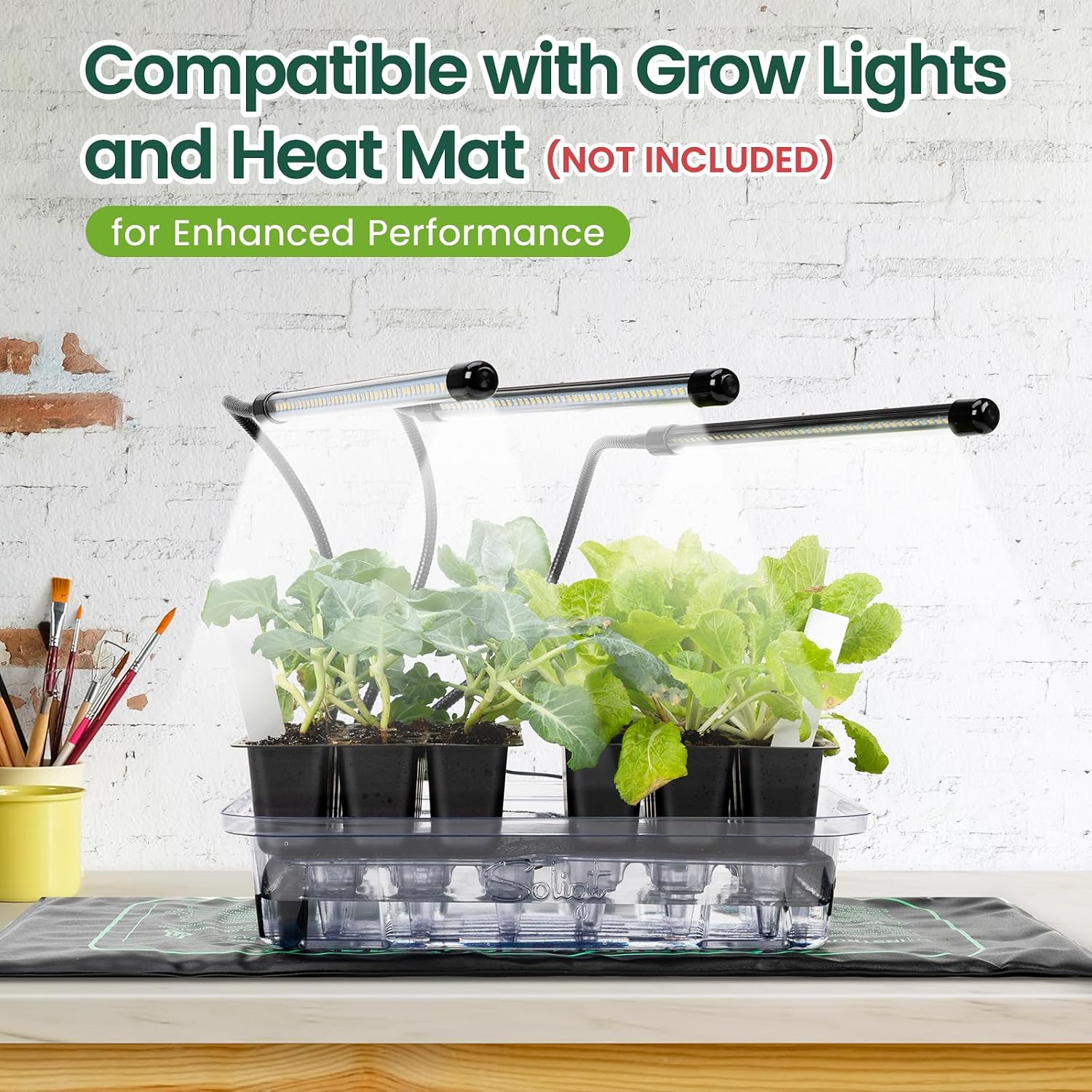 SOLIGT Self Watering Seed Starter Trays with Humidity Domes 6 Pack 144 Cell | Extra Thick Plastic Seed Starter kit for