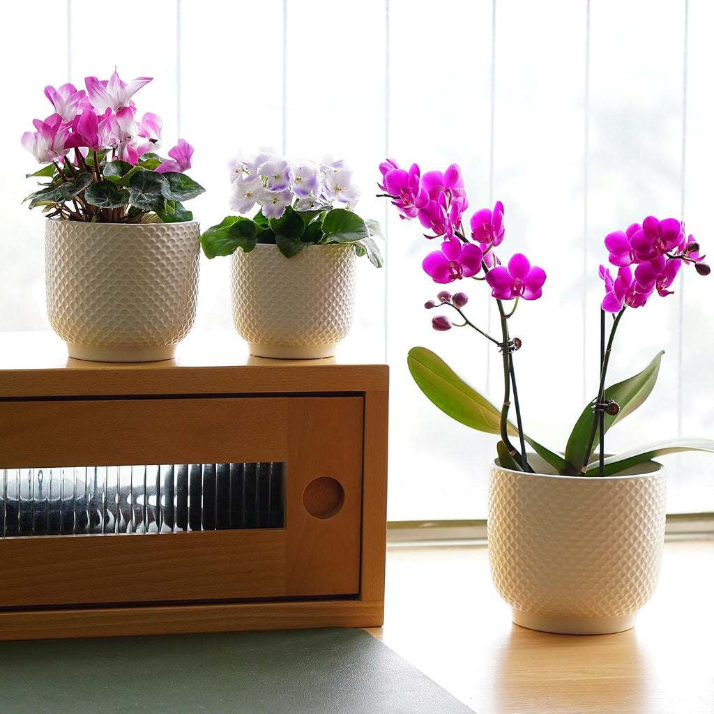 4 + 5 + 6 Inch Ceramic Pots for Indoor Plants, Succulents Plant Pots, Orchid Flower Pot with Drainage Hole, Modern Clay