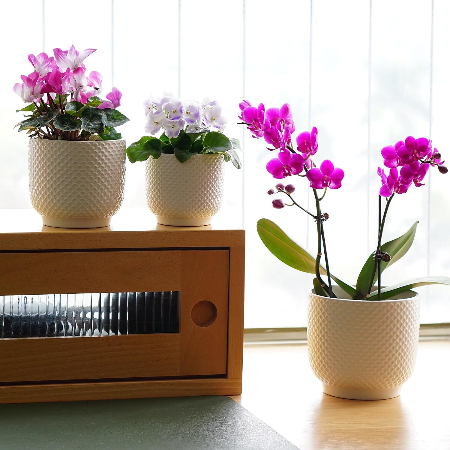 4 + 5 + 6 Inch Ceramic Pots for Indoor Plants, Succulents Plant Pots, Orchid Flower Pot with Drainage Hole, Modern Clay