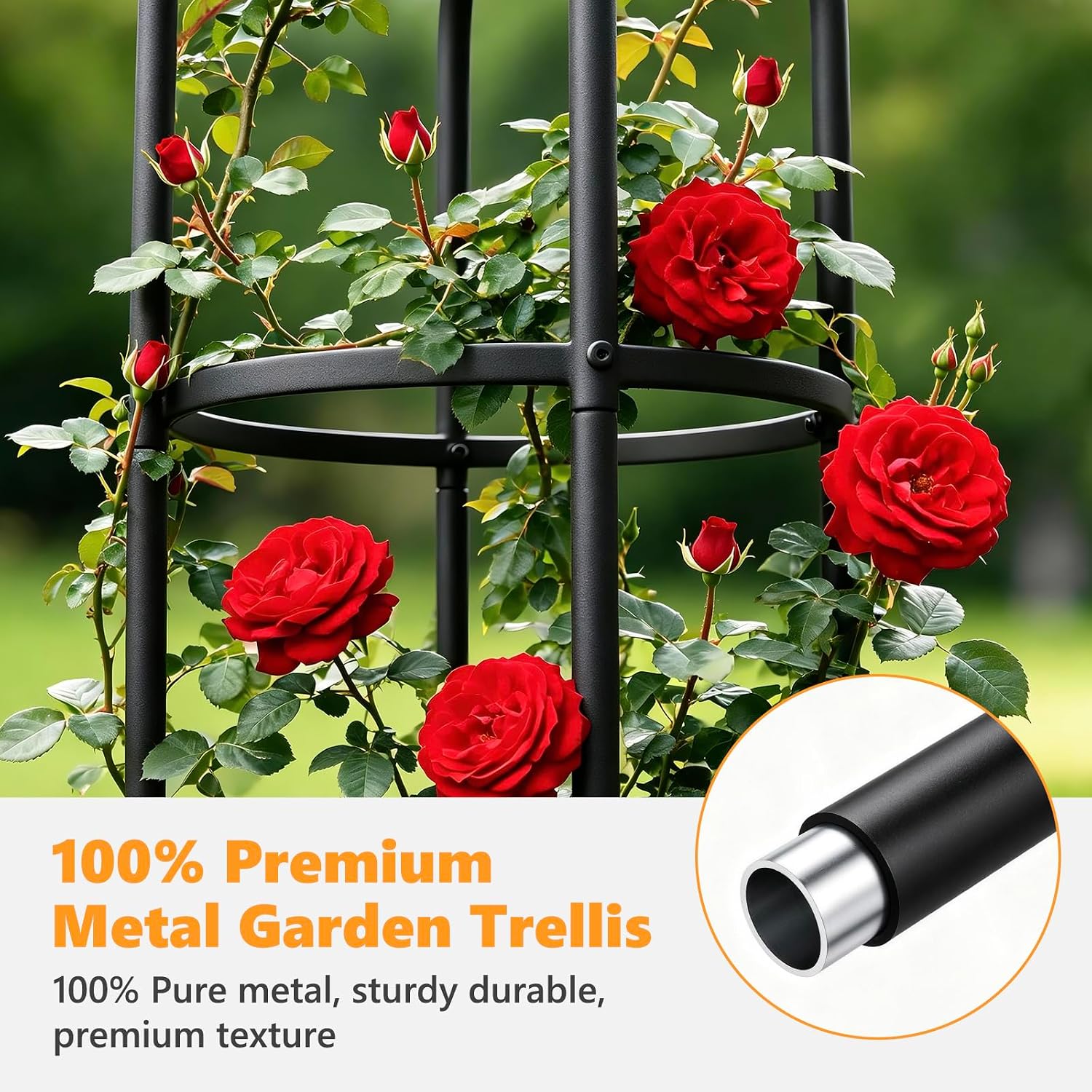 Elegant Outdoor Garden Trellis for Climbing Plants with Premium 100% Metal | Floral Bird Topper 5.9ft Tall, 7.7lbs