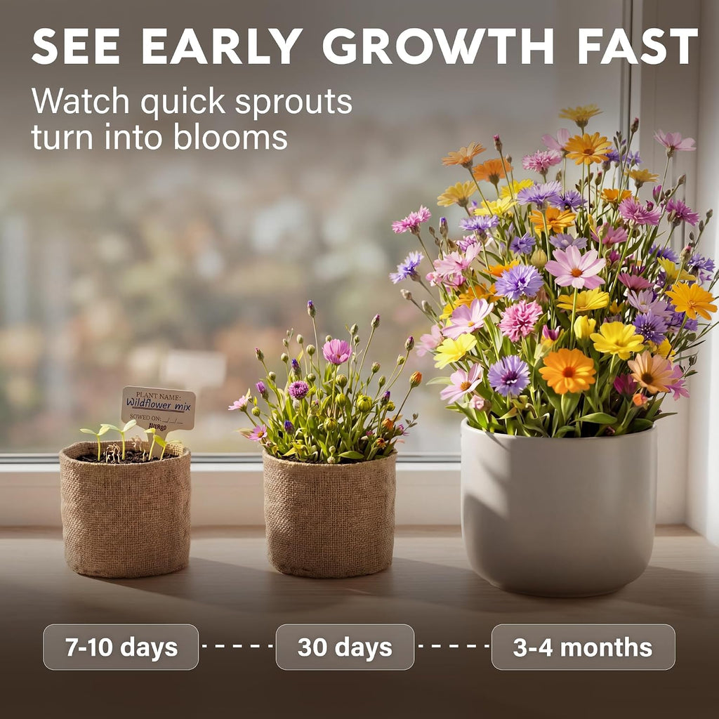 Wildflower Seed Mix Growing Kit - Perennial Wild Flowers | Ideal Gift - Also Includes Planters, Soil, Wooden Box, and