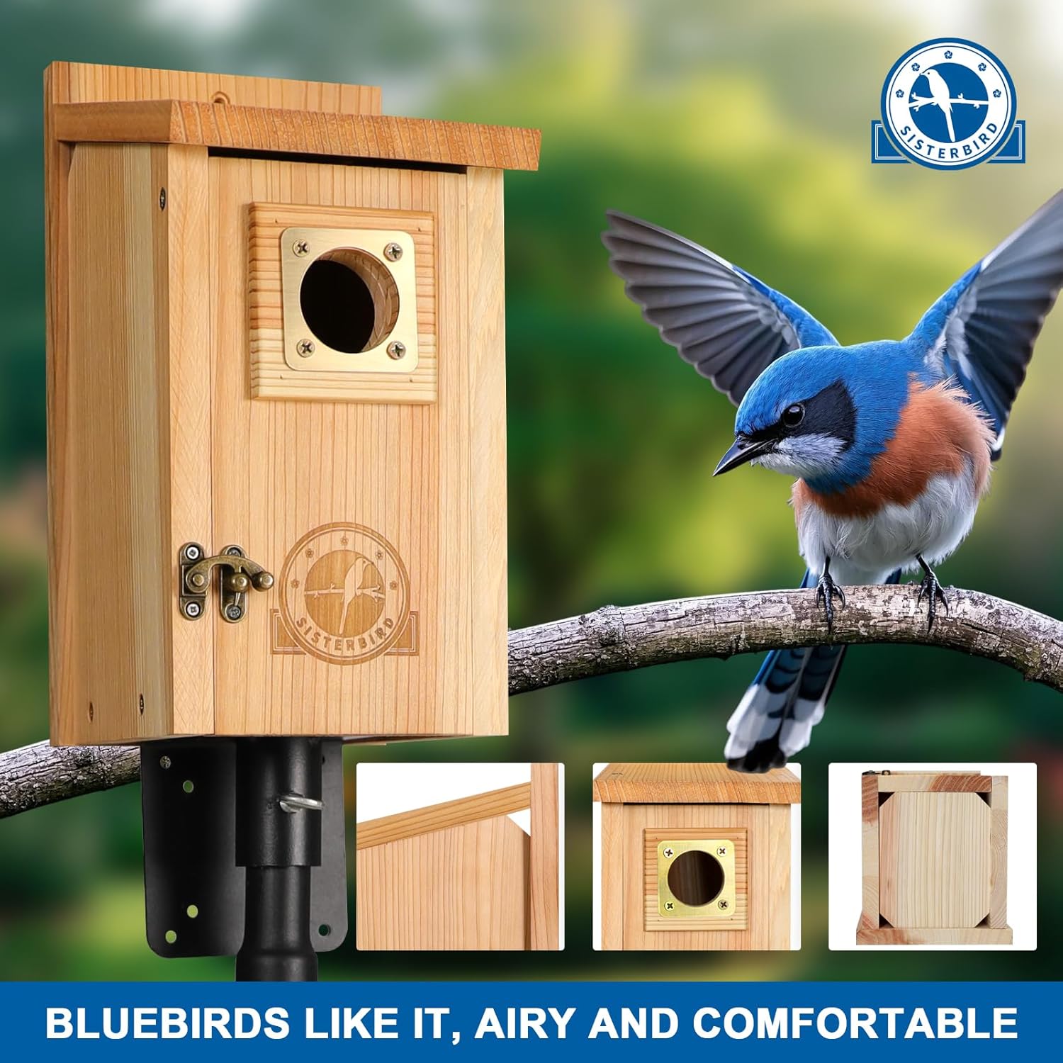 SISTERBIRD Bird Houses for Outside Clearance with Copper Guard, Cedar Bird House Outdoor, Bluebird Finch Swallow Wren