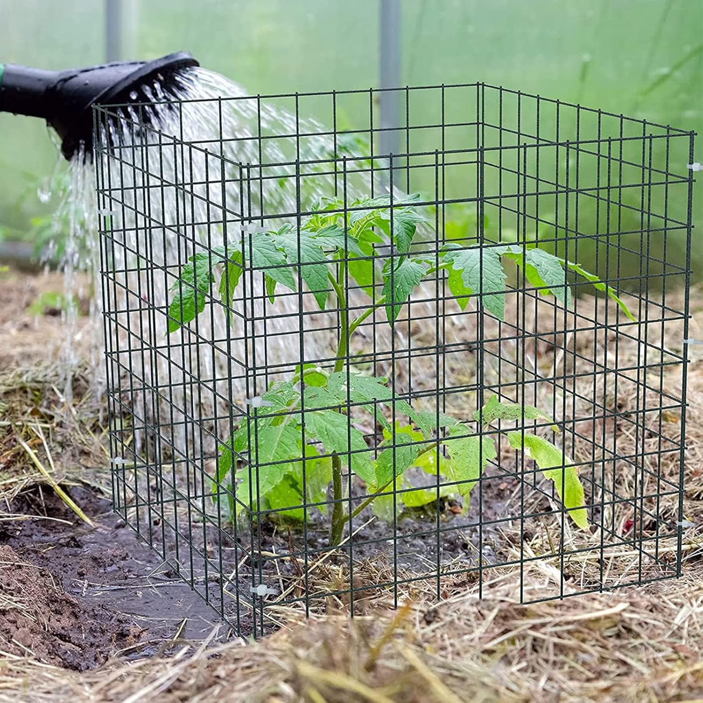 Small Wire Plant Protectors, 10 Pack 12" Square Plant Protectors from Animals Mesh Plant Cage Chicken Wire Cover for