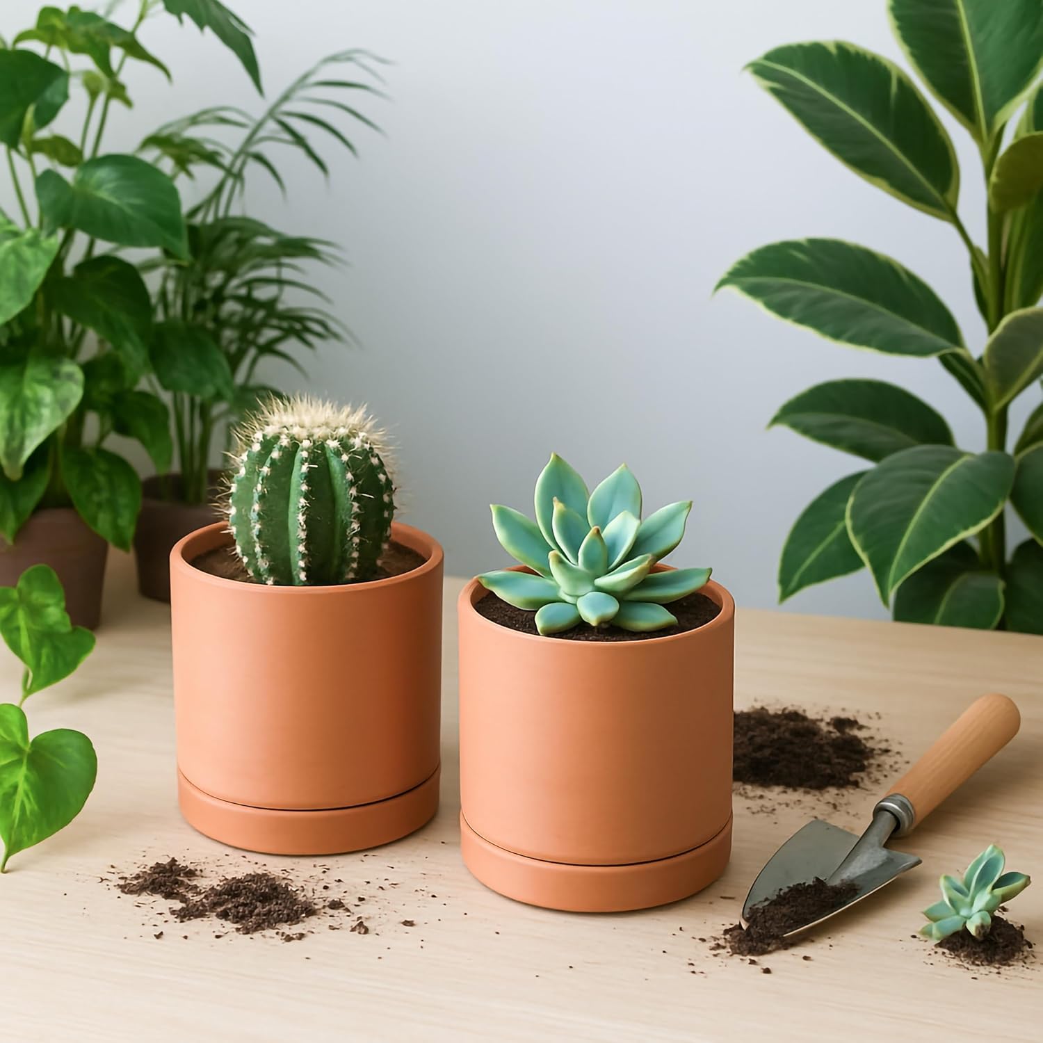 D'vine Dev 2-Pack Terracotta Plant Pots with Saucers, 4 Inch, 40-X-B-1 | Cylinder Shape, Timeless Style, Unglazed