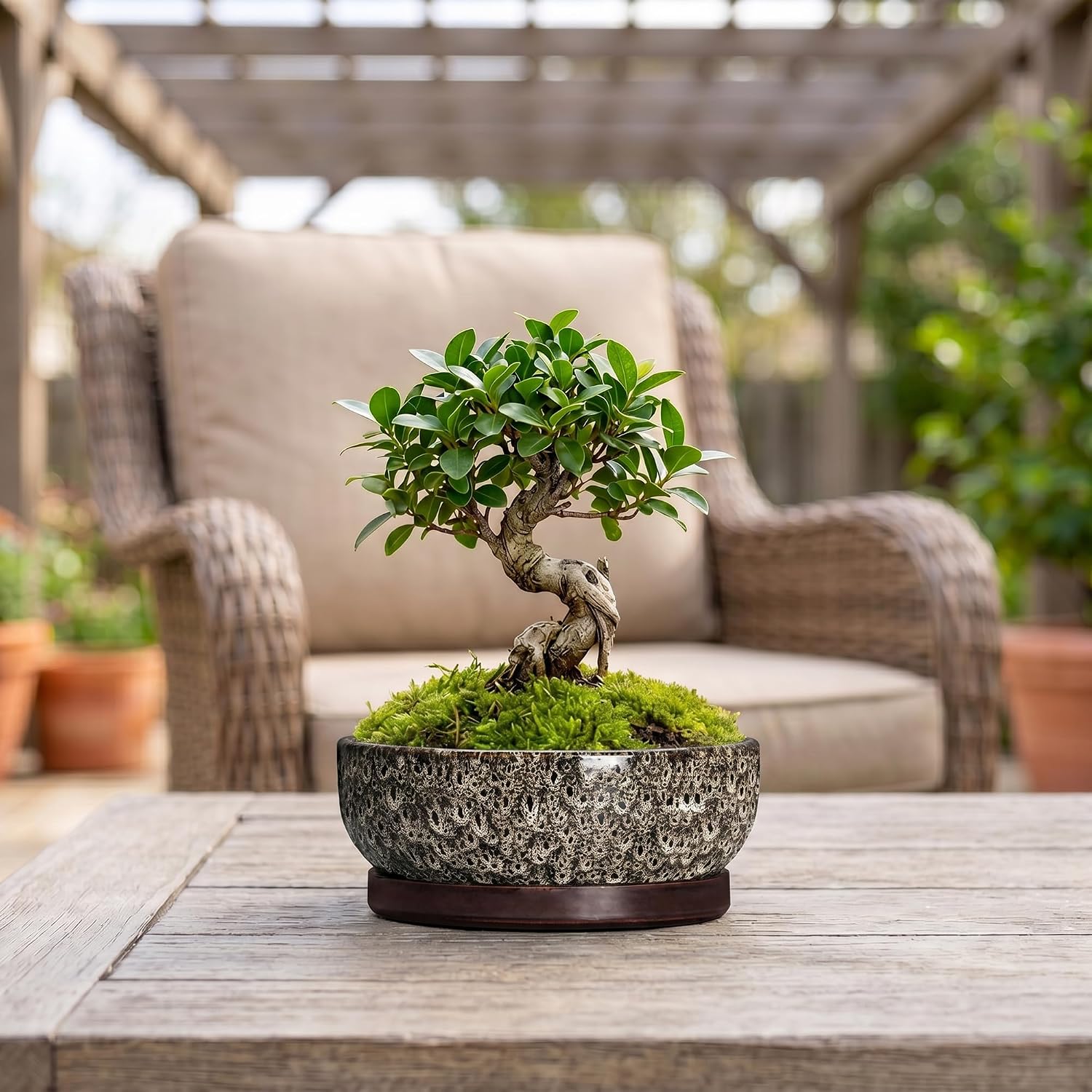 Bonsai Pots, 8 Inch Ceramic Succulent Pot with Saucer, White Leopard | Bonsai Planter for Indoor Plants, Round Shallow