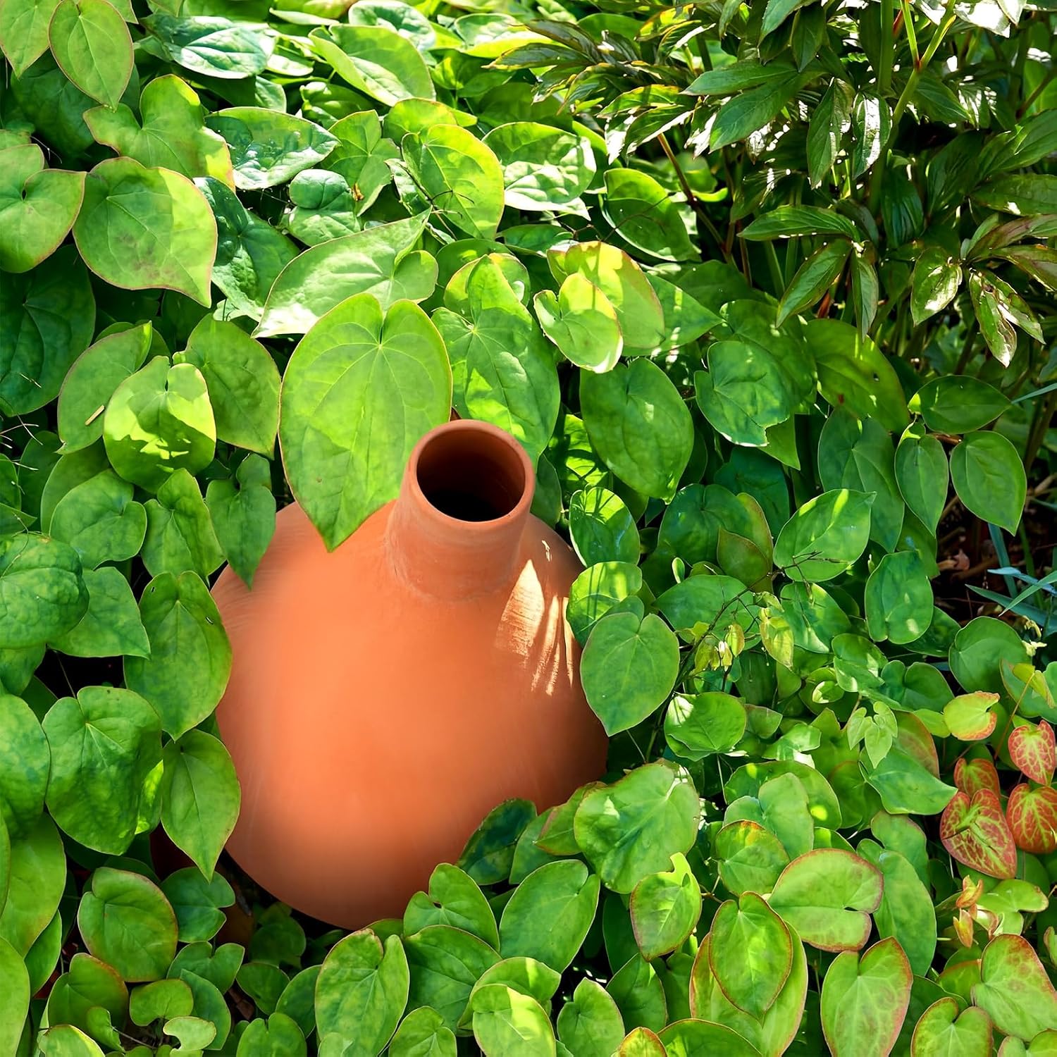 68 oz Large Olla Terracotta Self Watering Pot,Teardrop | Terracotta Olla, Garden Irrigation Insert, for Raised Beds
