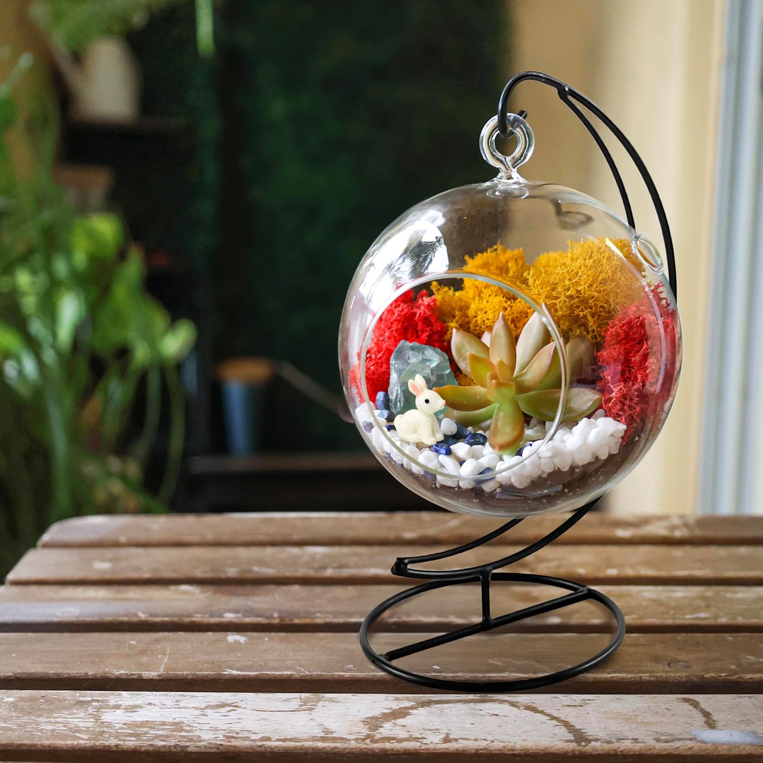 Creations by Nathalie DIY 5" DIY Globe Terrarium Kit - Build Your Own Glass Terrarium for Adults & Teens with Moss