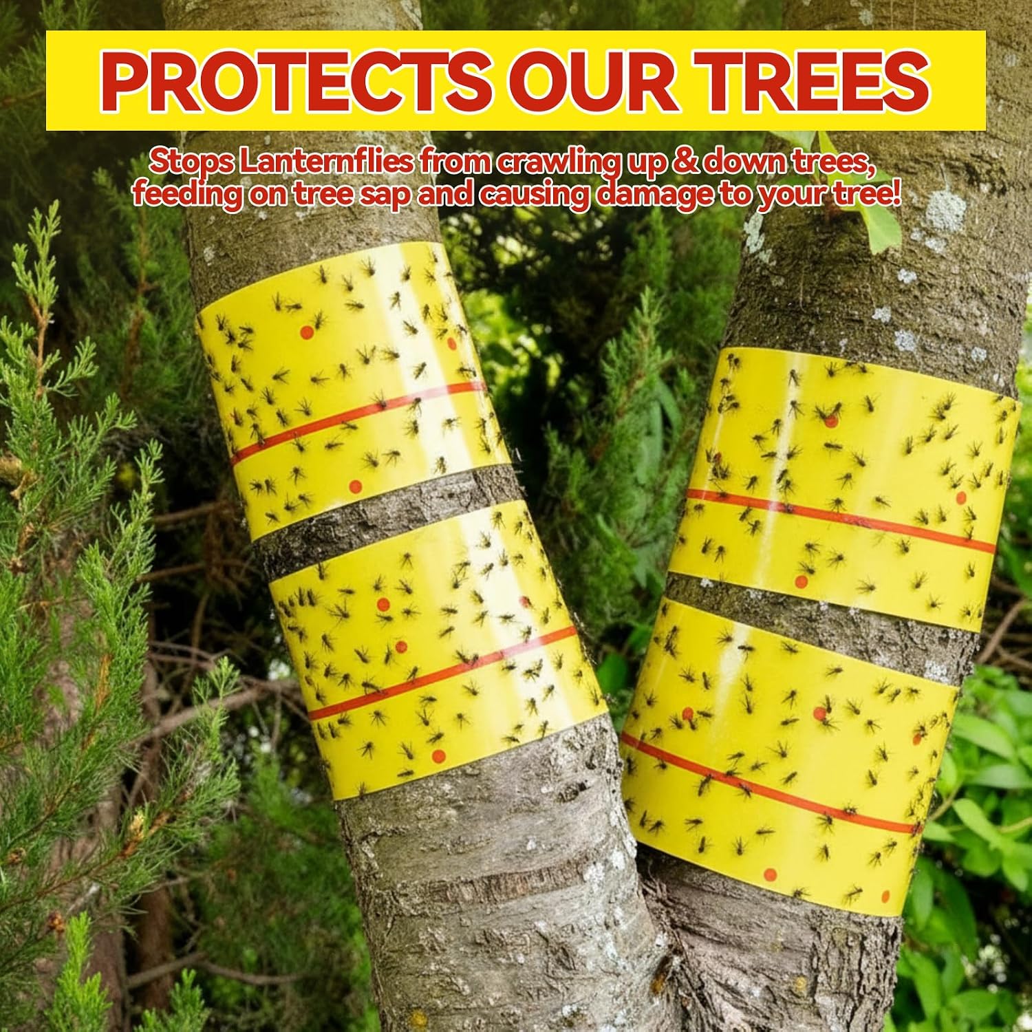 10 Rolls Sticky Fly Trap 30 ft Each, Fly Paper Strips for Indoor Outdoor Hanging Flies Tape Spotted Lanternfly Tree