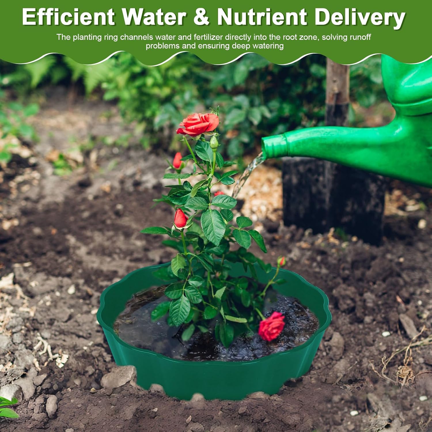 6 Pack Round Planting Grow Rings,10" Planting Protective Round Edging, Plant Support Rings to Protects Plants, Deep
