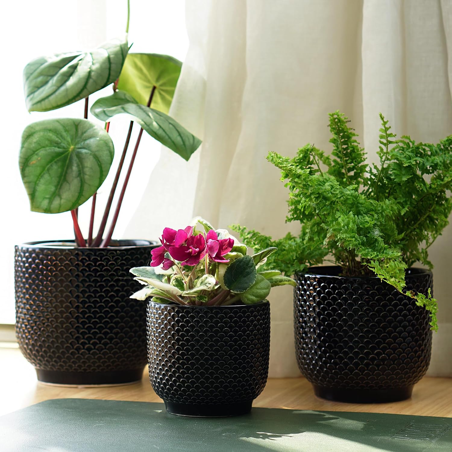 4 + 5 + 6 Inch Ceramic Pots for Indoor Plants, Succulents Plant Pots, Orchid Flower Pot with Drainage Hole, Modern Clay