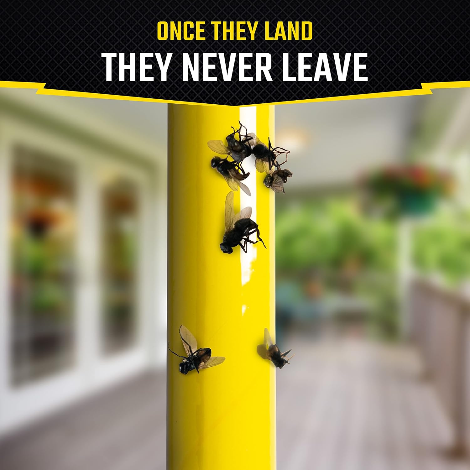 Black Flag Fly Stick, Trap Houseflies and Flying Insects, Pack of 6 | Traps & Attracts Flying Insects, For Indoor &