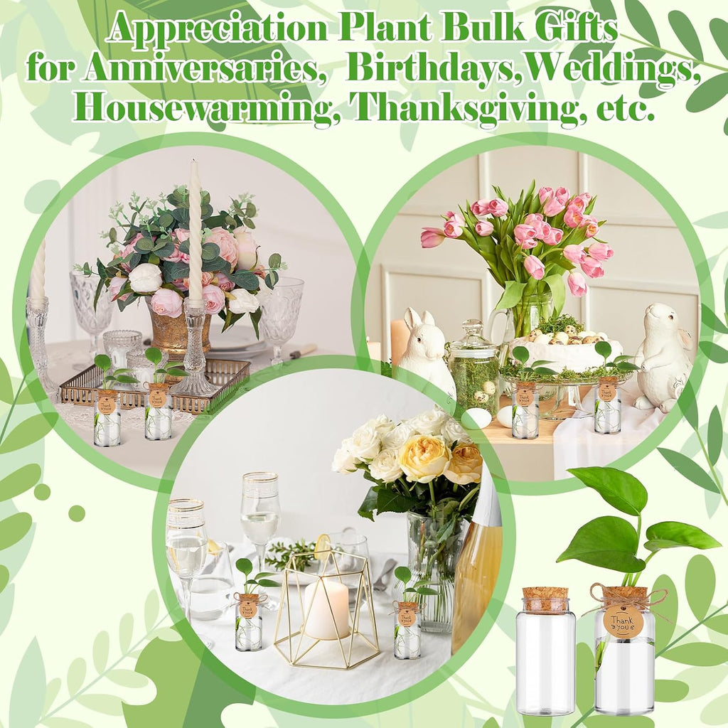 36 Packs Plant Propagation Stations with Hole Lid Clear Plastic Cultivation Bottles Tabletop Hydroponic Containers with