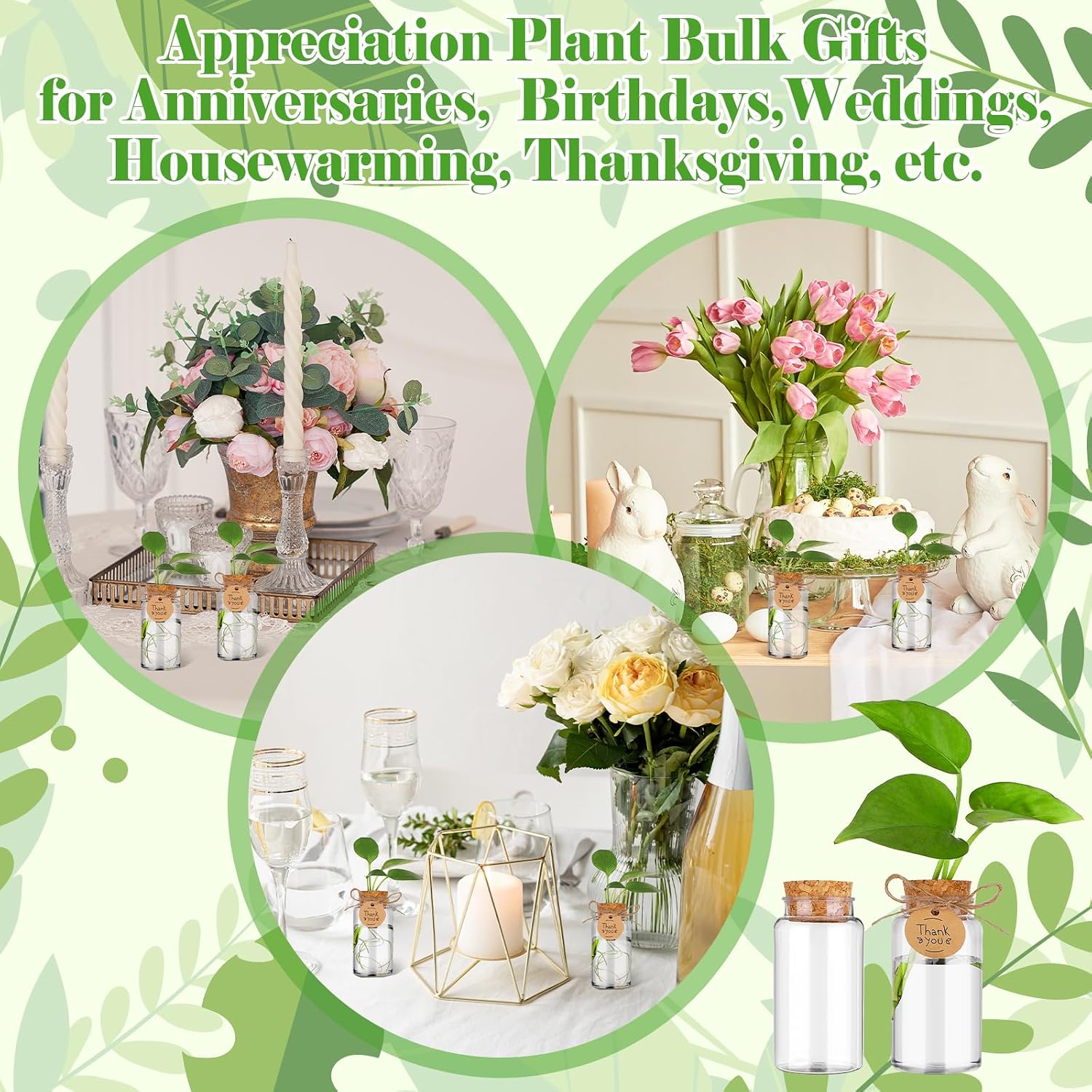 36 Packs Plant Propagation Stations with Hole Lid Clear Plastic Cultivation Bottles Tabletop Hydroponic Containers with