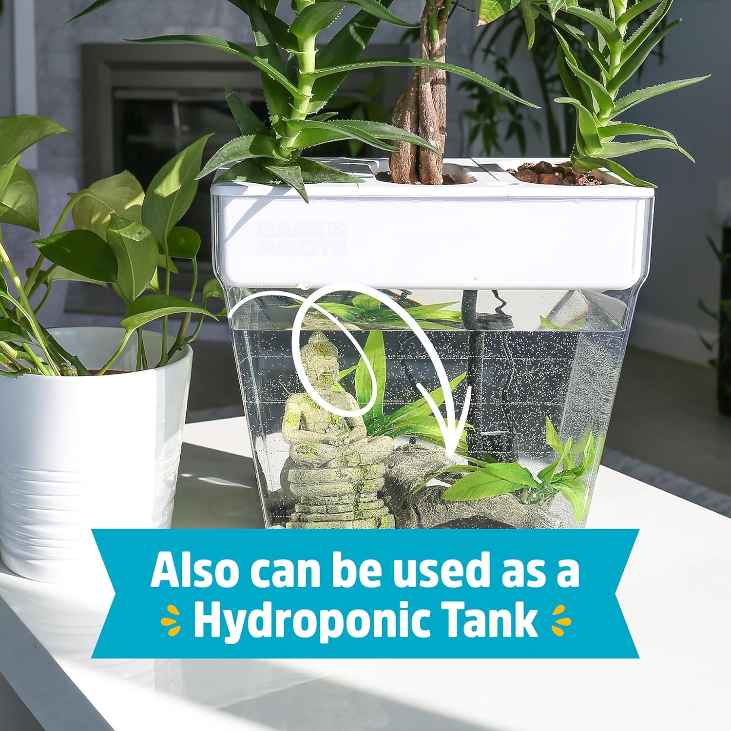 Back to the Roots Indoor Aquaponic Garden - 3 Gallon Self Watering, Mess-Free Planter and Self-Cleaning Fishtank for