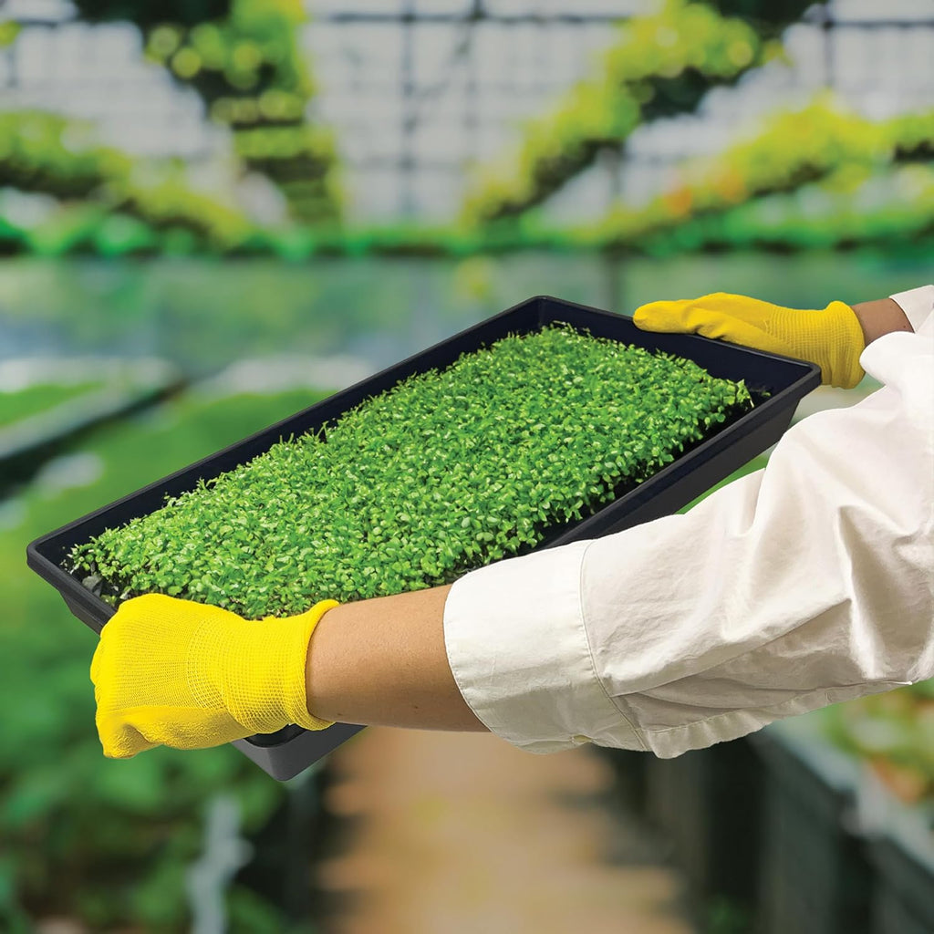 5 Pack of Durable Black Plastic Growing Trays (Without Drain Holes) 21" X 11" X 2" - Flowers, Seedlings, Plants