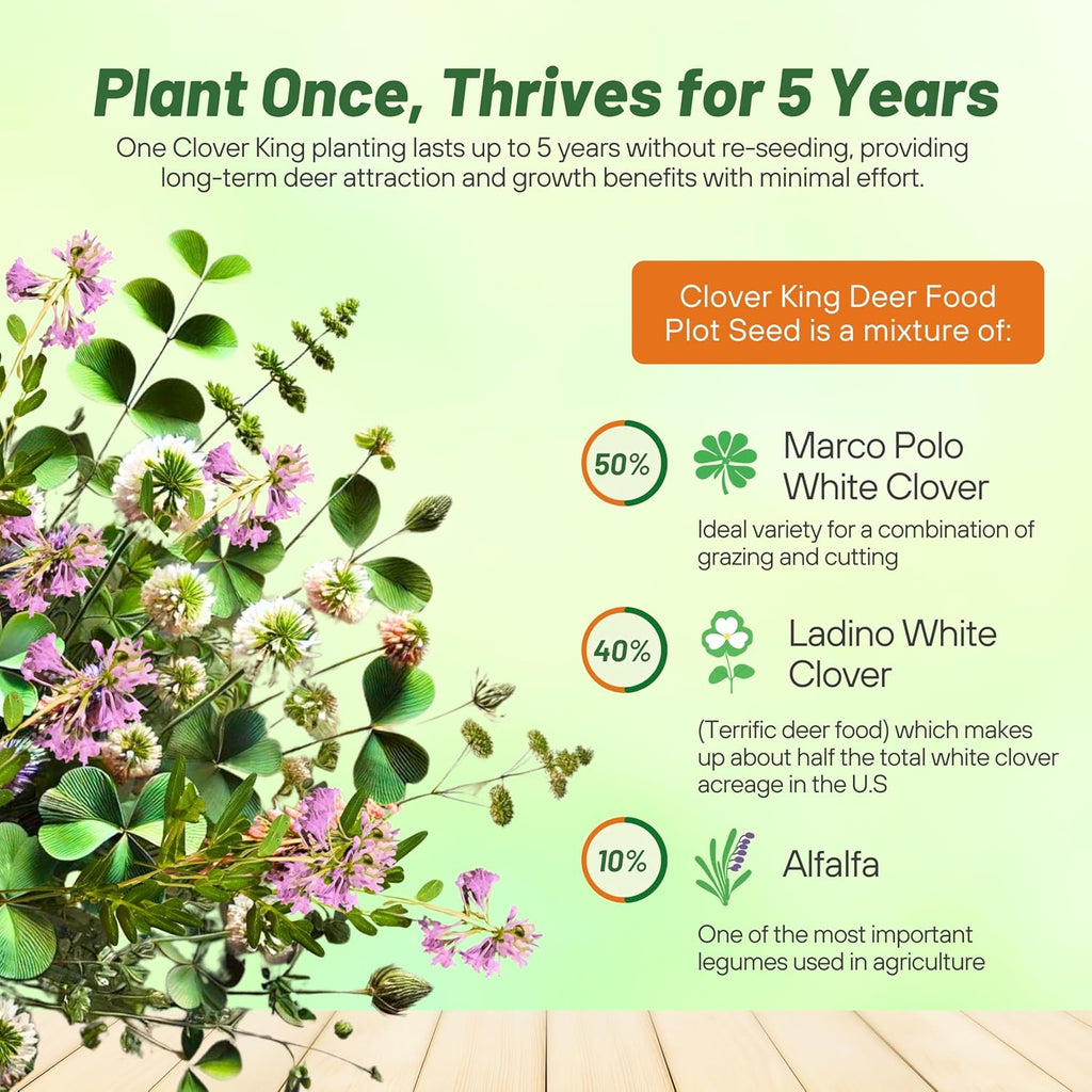 Outsidepride Perennial Clover King Seed Mix - 5 lbs Nitrocoated, Inoculated, Heat & Cold Tolerant, Alfalfa-Enhanced