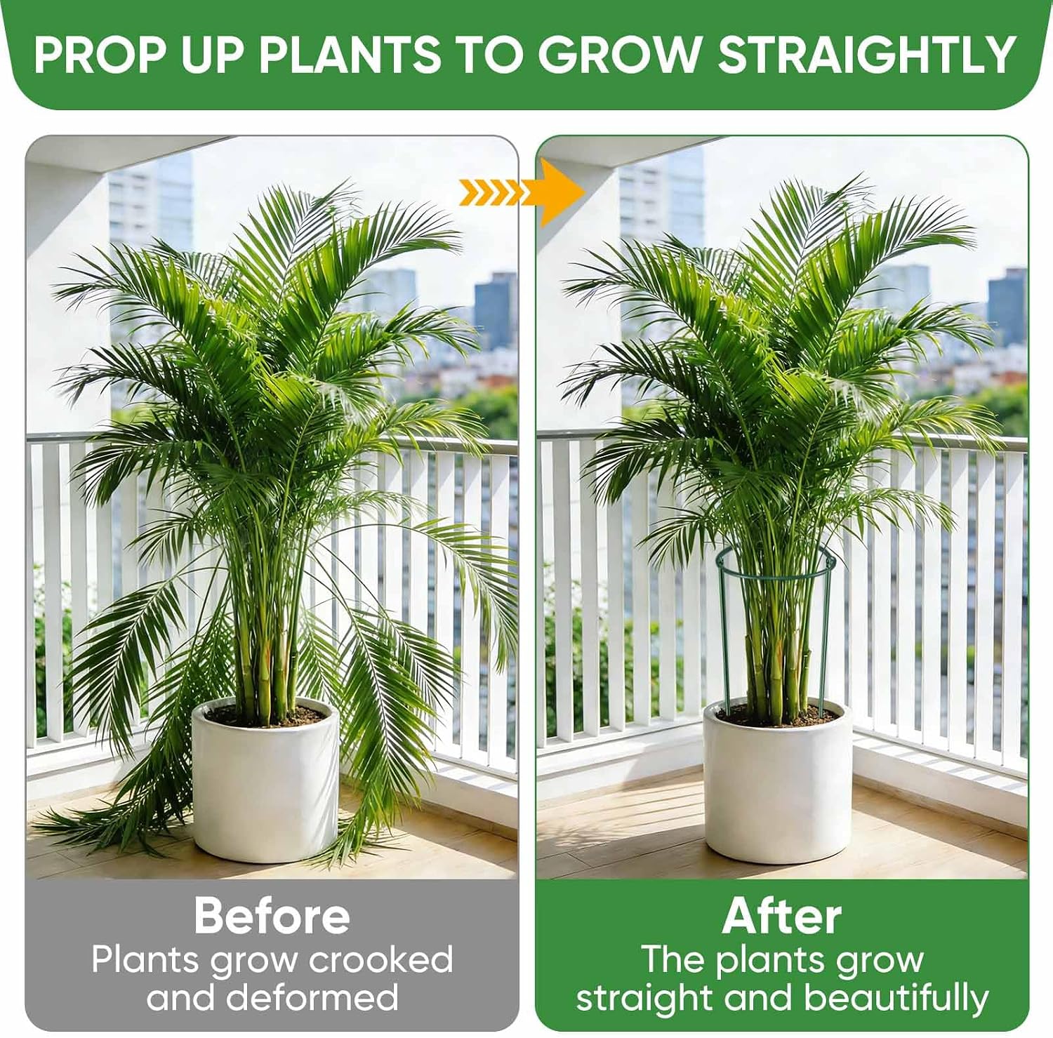 HiGift 10 Pack 24" H x 10" W Tall Plant Support Stakes, Half Round Metal Peony Cages and Supports, Monstera Plant