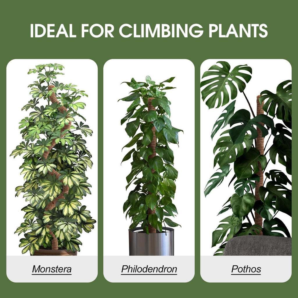 4 Pack Moss Pole 63 Inch Monstera Plant Sticks Support Tall Long Stakes | Climbing Indoor Large Bendable Handmade DIY