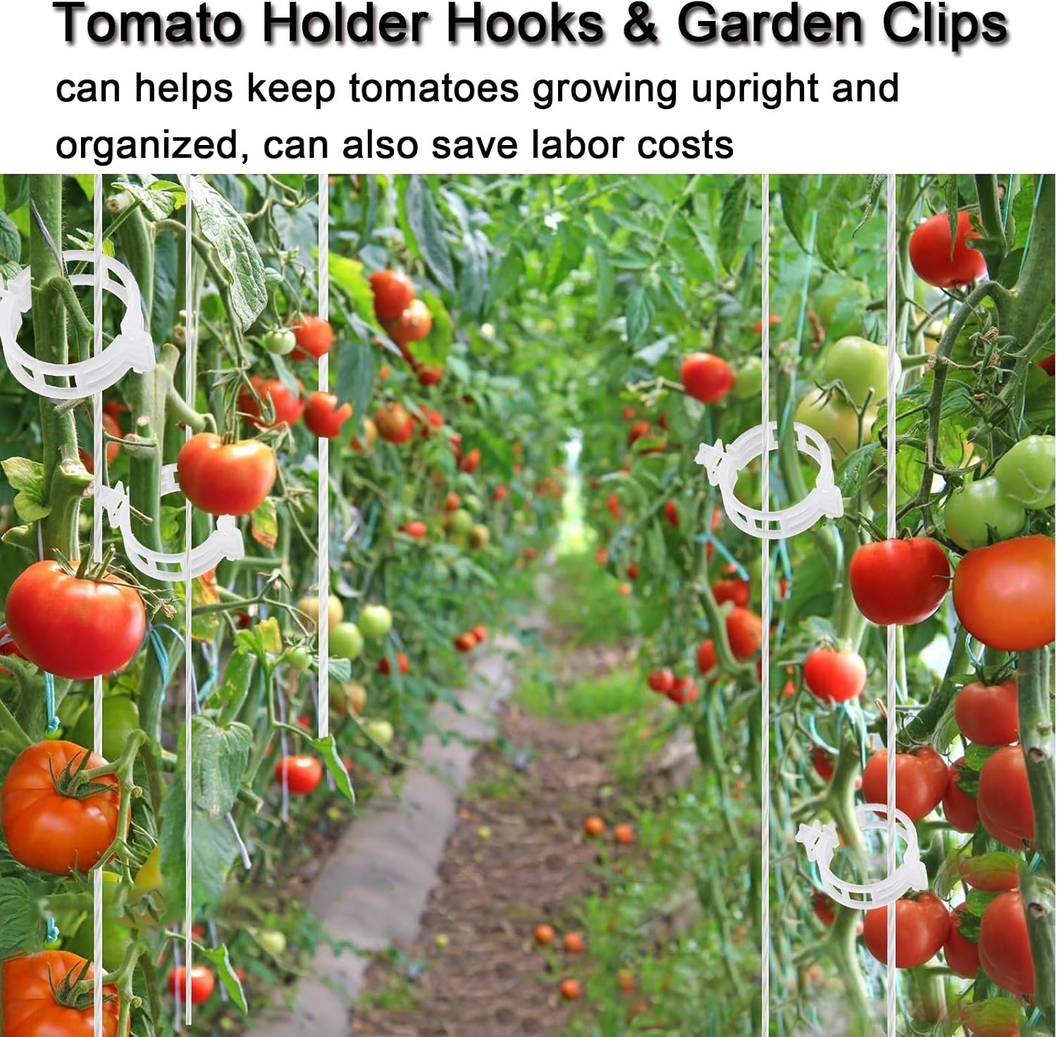 Tomato Support Hooks with String 20 Pcs,100 Pcs Plant Support Clips for Climbing Plants,Tomato Trellis Roller Hooks