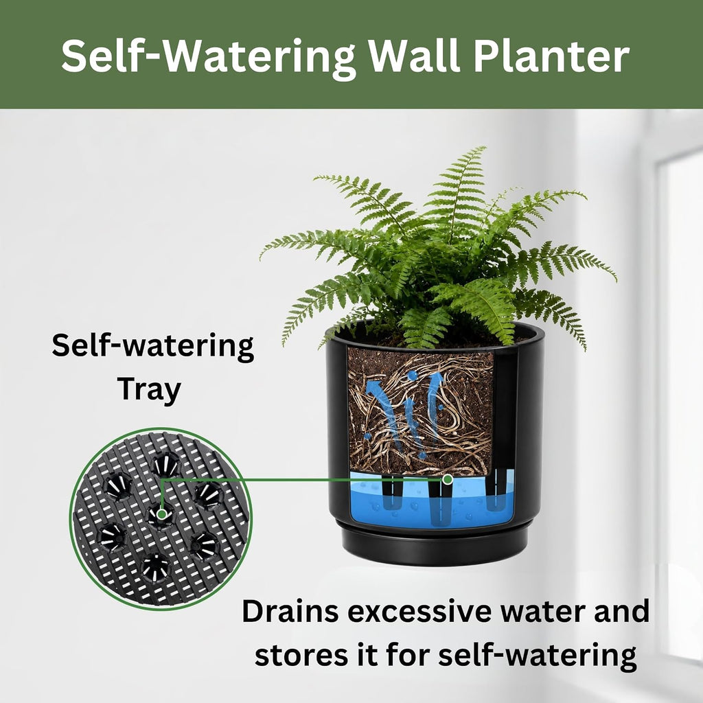 Self-Watering Wall Planters for Indoor Outdoor Plants (5.9 inch) | Metal Wall Vase, Wall Hanging Planter, Wall Plant
