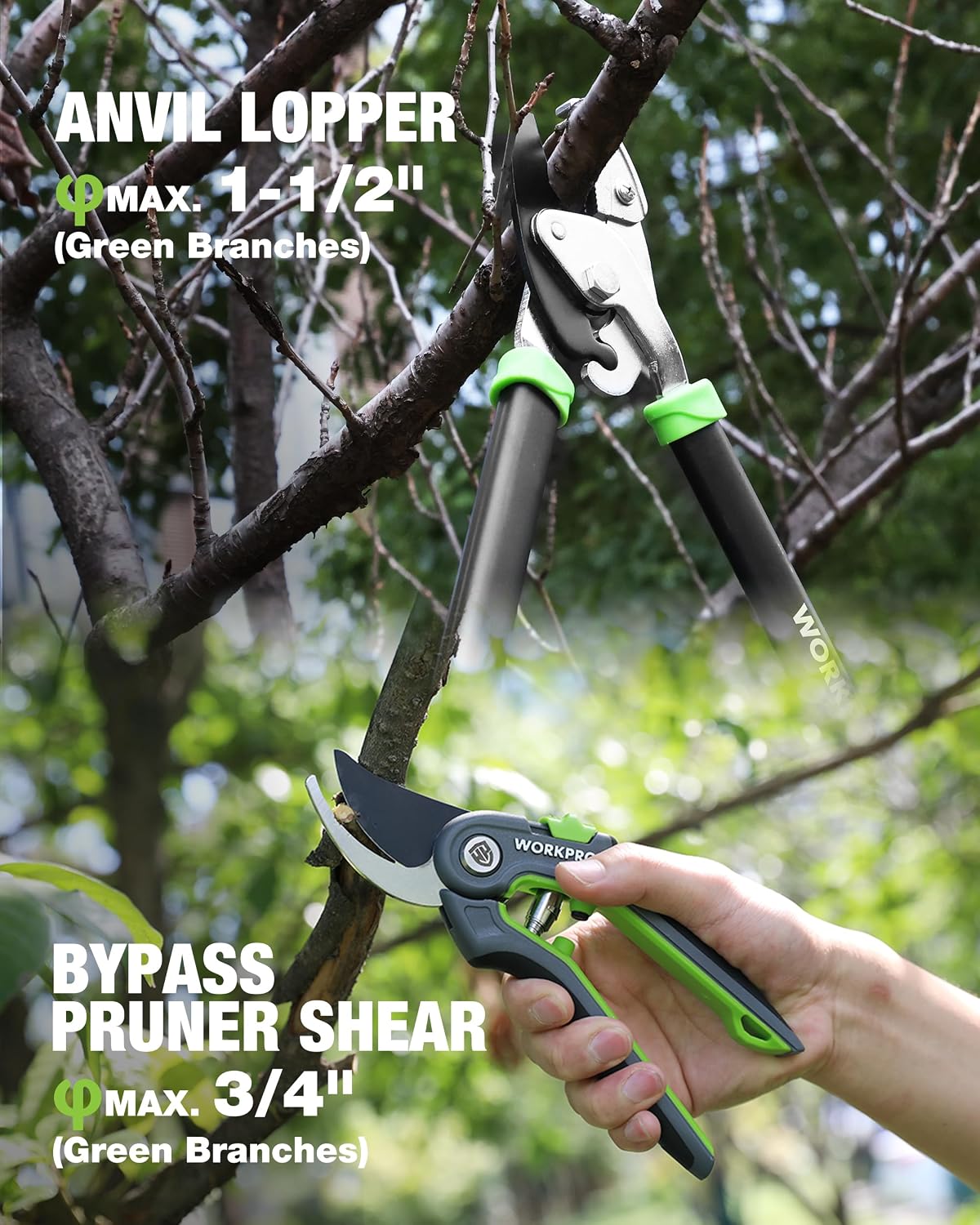 WORKPRO 3-Piece Garden Shears Set, Heavy-Duty Gardening Clippers | Includes 20” Hedge Shear, 24” Anvil Lopper & 8”