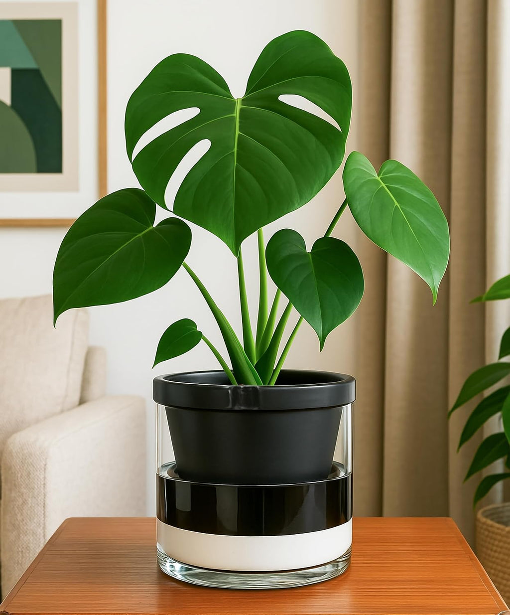 D'vine Dev Self-Watering Black Terracotta Planter Pot, 8 in, 37-X-C-3 | Terracotta & Glass Design, Clear Water