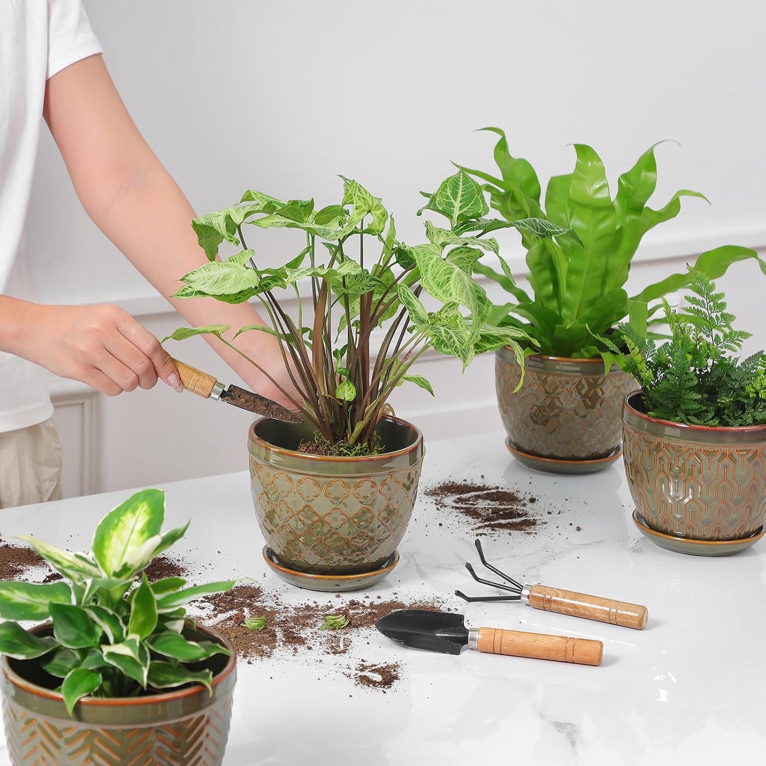 Sureasy Ceramic Indoor Plant Pots, 5.6 Inch Flower Pots for Plants with Drainage Hole and Saucer, Embossed Planter for