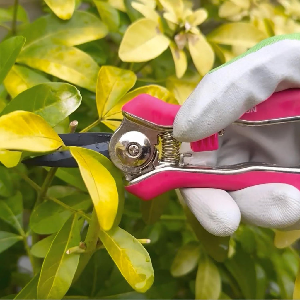 Spear & Jackson Bypass Pruner and Mini Snips Gift Set, Premium Gardening Tools with Carbon Steel Blades for Precision