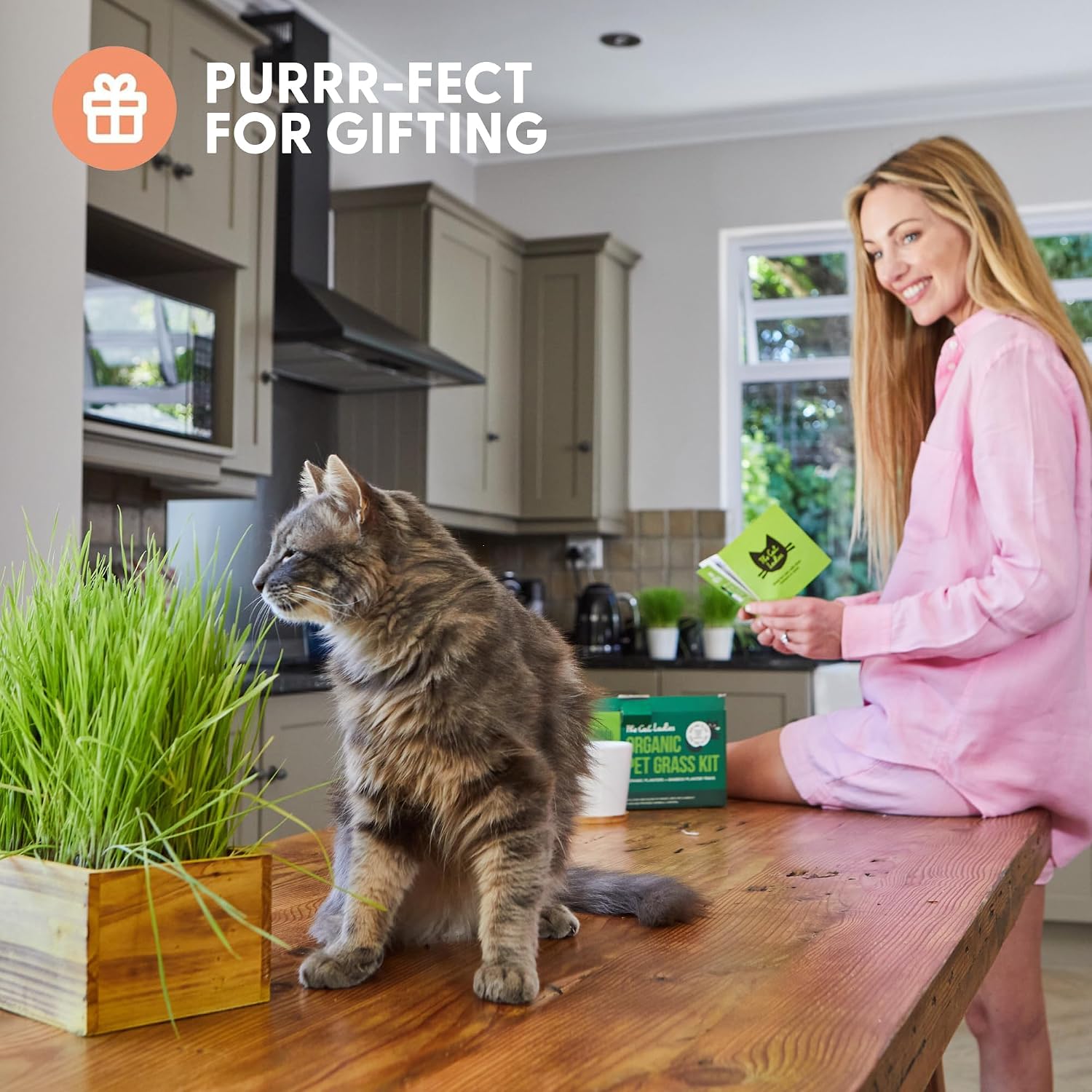 The Cat Ladies Cat Grass Kit with Rustic Wood Planter, Seed and Soil. Easy to Grow for Indoor or Outdoor Cats, Dogs and