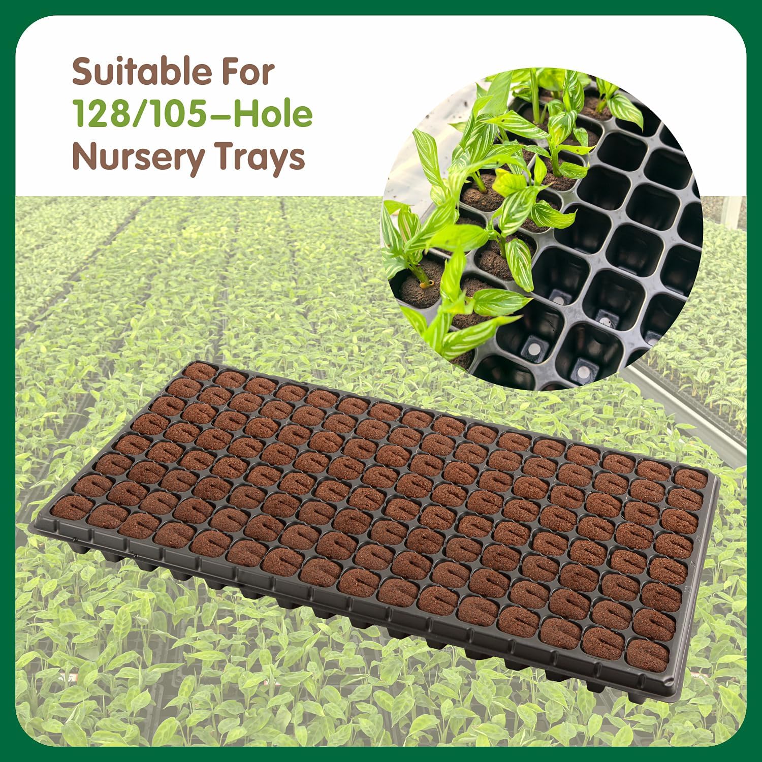 150PCS Seed Starter Plugs, Grow Sponges Compatible with Hydroponic Trays | Expandable Grow Media for Seed Starting