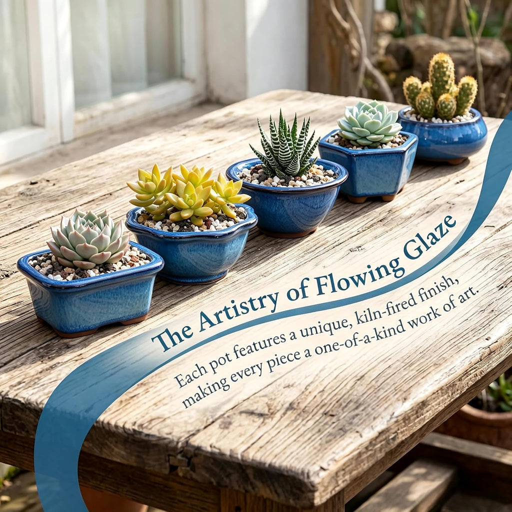 6 Pack Bonsai Pot Planter, 3" 4" Ceramic Glazed Succulent Pots | Small Succulent Planters with Drainage, Training Pot