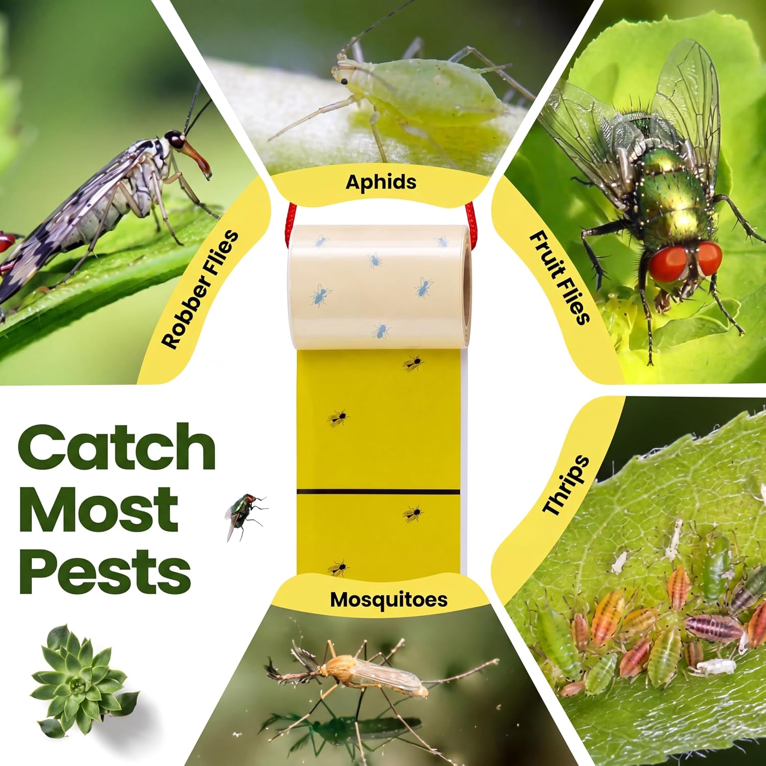 Qualirey 20 Pcs Giant Sticky Fly Traps, Fly Strips for Indoor Outdoor Hanging Flying Tapes Non Toxic Ribbon Fruit Gnat