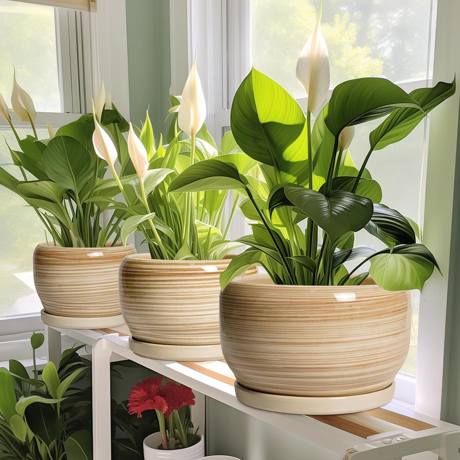 SQOWL Ceramic Pot for Plants - 6 Inch Indoor Planter with Drainage Hole and Tray, Round Modern Flower Pot Outdoor