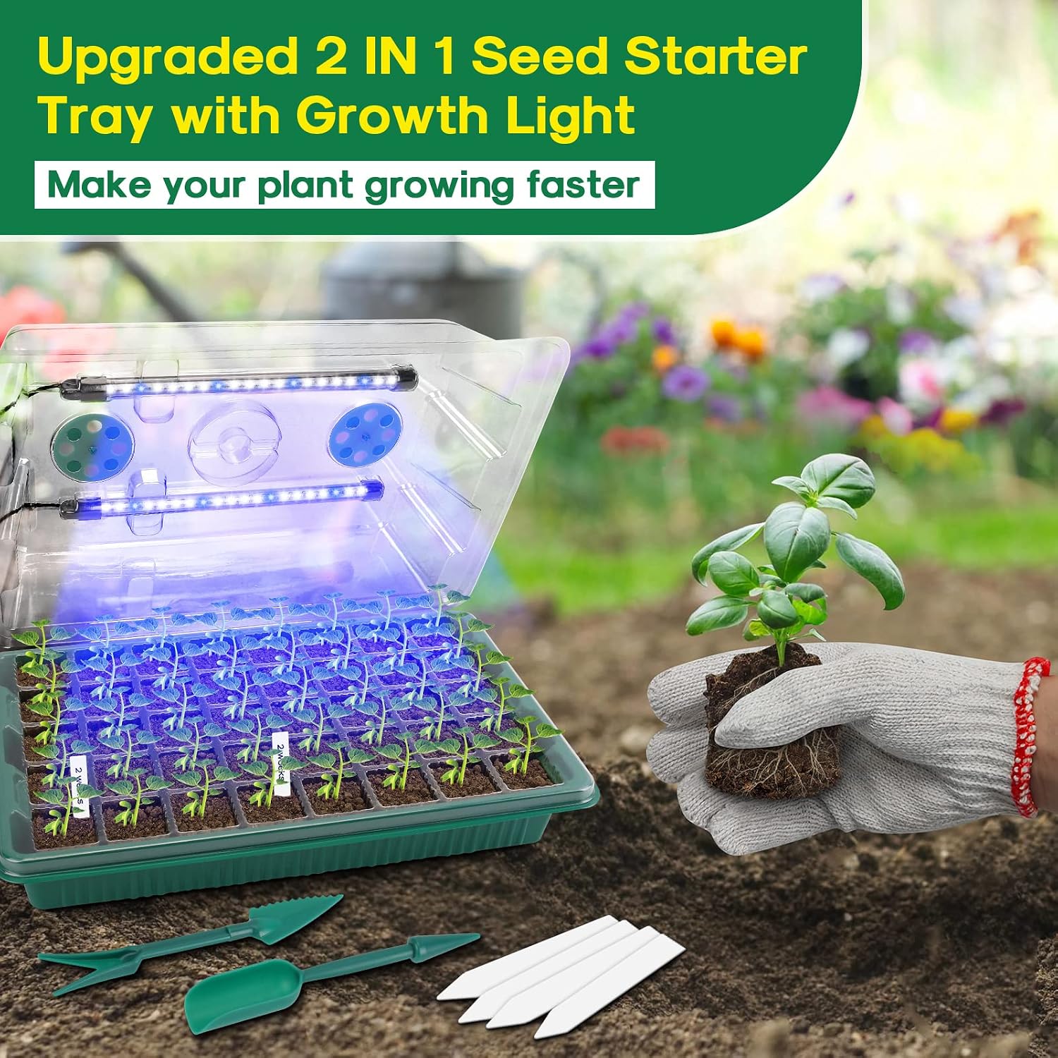 Seed Starter Tray with Grow Light, Humidity Dome, 2 Pack 80 Cells | Seedling Tray Kit with Vented Dome & Drainage