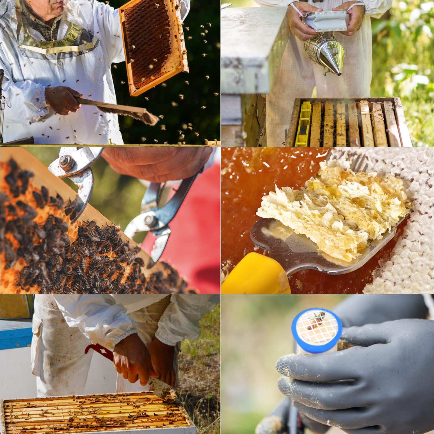 12pcs Bee Hives Starter Kit Beekeeping Supplies, Bee Keeping Supplies-All, Bee Supplies and Equipment with Bee Smoker