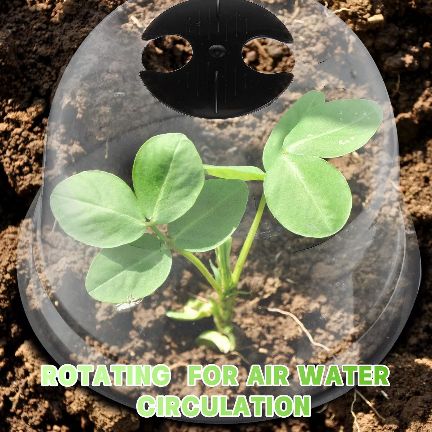 20 Pack Garden Cloches for Plants Clear Bell Covers 7.3x6.7 Inch | with 60 Pegs 20 Labels, Freeze Protection Humidity