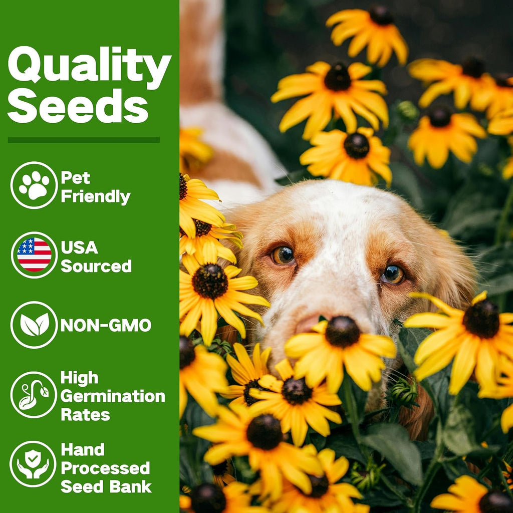 Lush&Dew Pet-Friendly Heirloom Seed Bank, Gardening Gifts for Women Men | 16 Varieties 15,000+ Non-GMO Seeds for