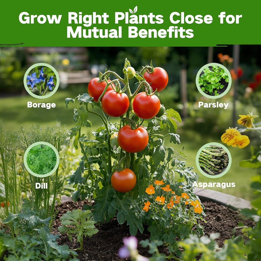 Lush&Dew Companion Plants Heirloom Seed Bank, Gardening Gifts for Women Men | 32 Varieties 30,000+ Non-GMO Vegetable