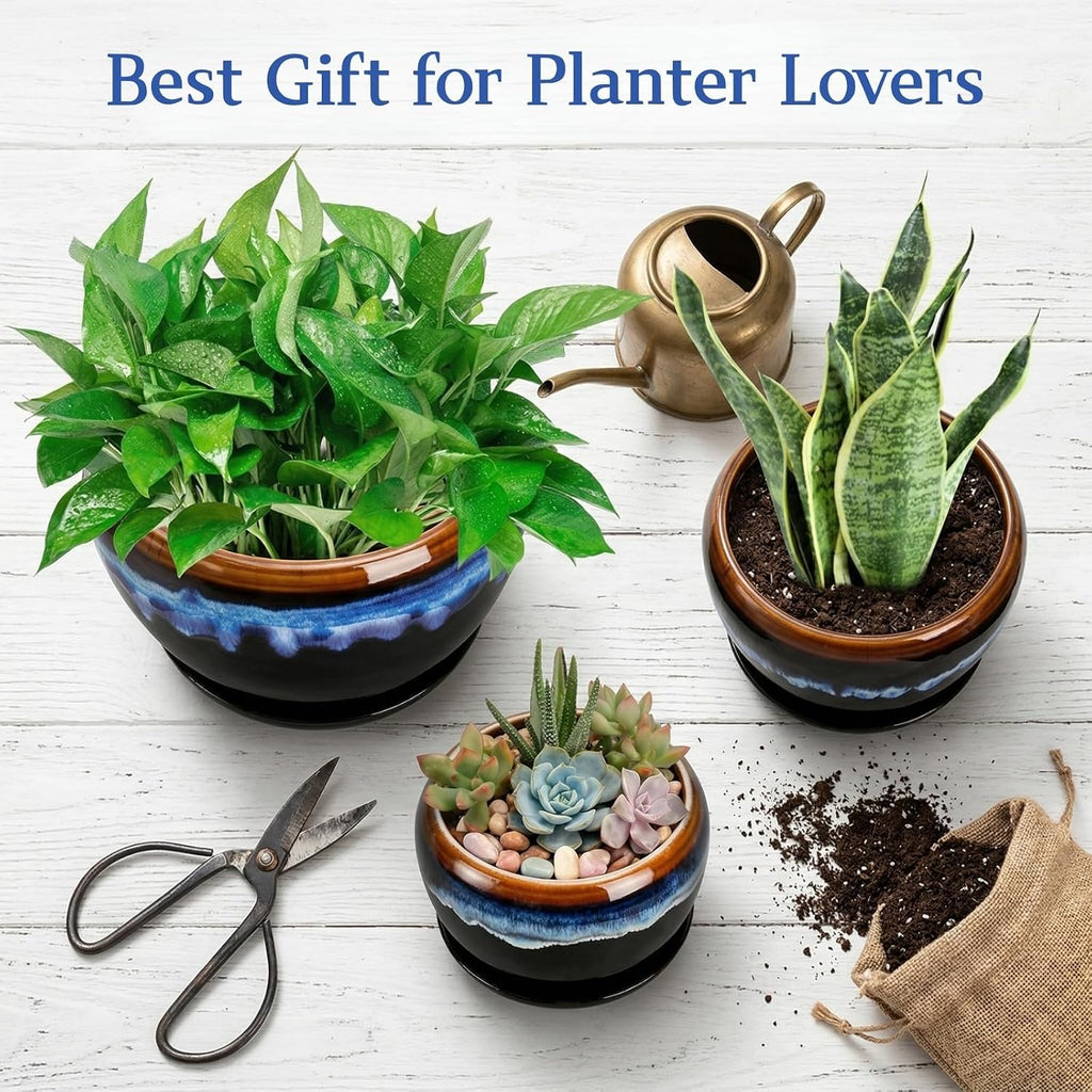 AVLA 3 Pack Ceramic Flower Pots, Gardening Drip Glazed Planter, Plant Pot with Drainage Hole and Saucer, 7/5/4 Inch