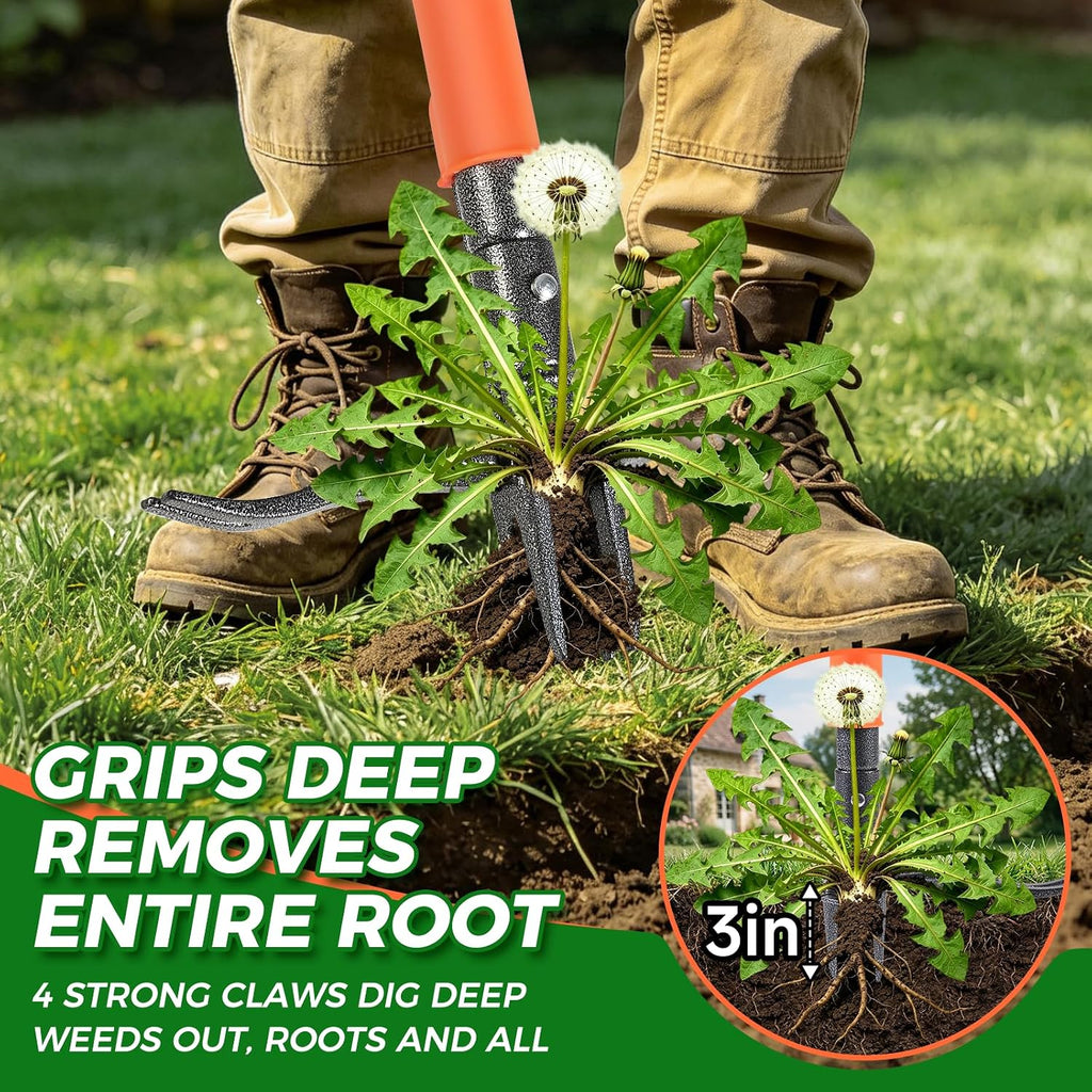 Stand Up Weed Puller Tool, 4-Claw Steel Head Deep Root Extractor with Dual-Eject Design, Real Bamboo Long Handle &
