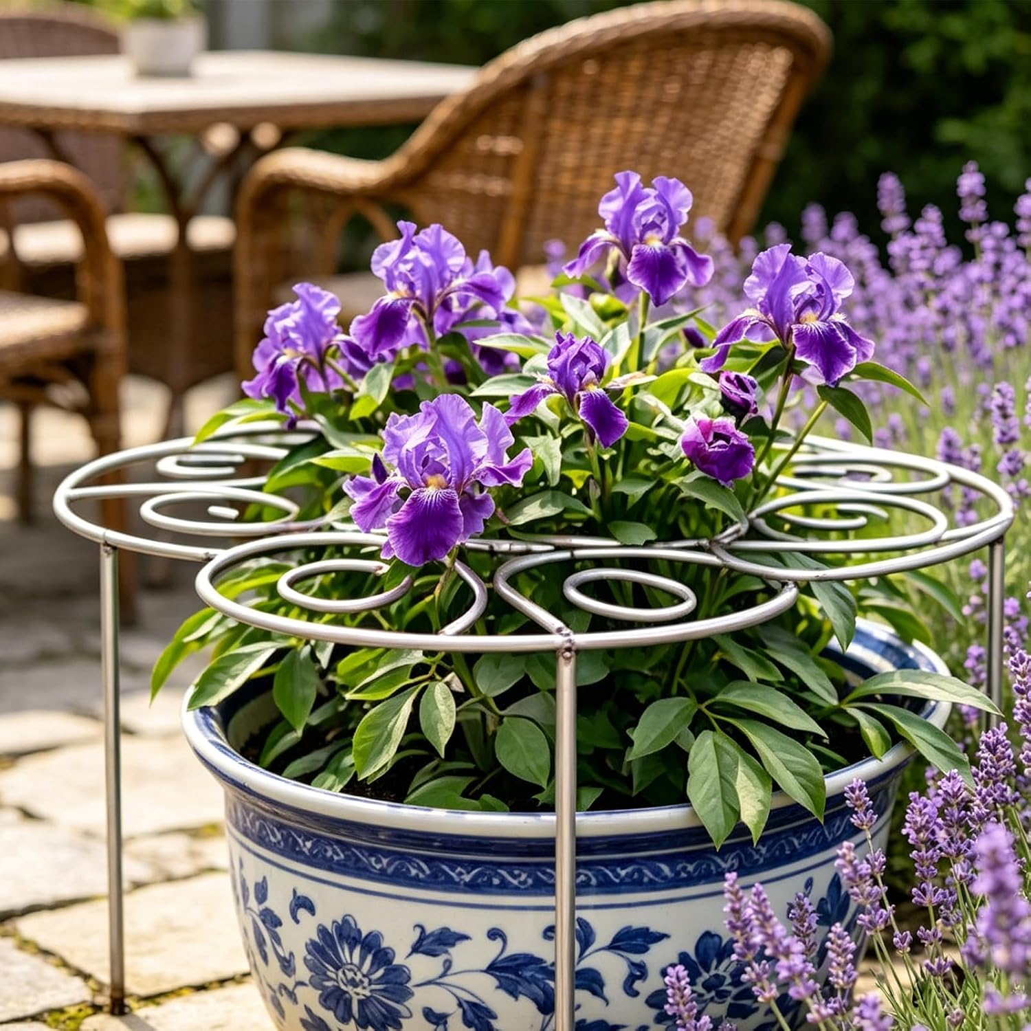 Metal Plant Support Ring, Heavy-Duty Peony & Dahlia Cages and Supports | Stackable Flower Support for Indoor & Outdoor